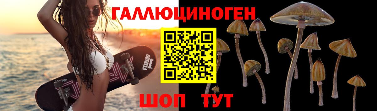 Галлюциногенные грибы GOLDEN TEACHER  наркота  Тара  Вход с VPN 
