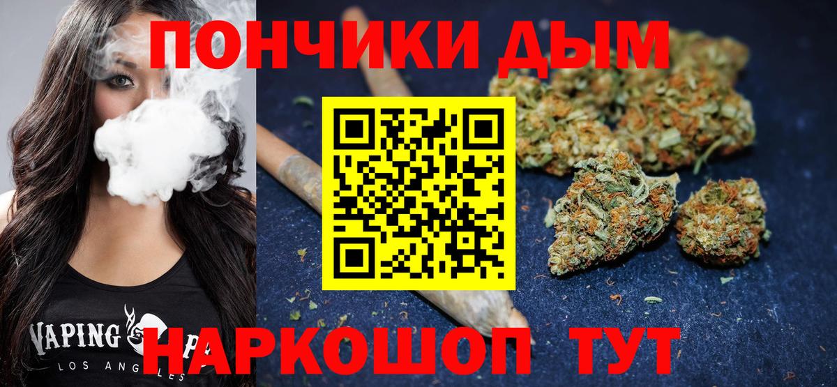 Тара  Канабис планчик  Вход с VPN  Марихуана OG Kush 